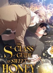 The S-Class Guide as Sweet as Honey yaoi smut manhwa